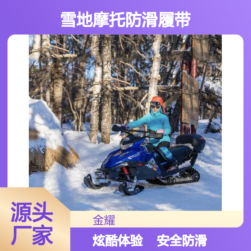 景区雪地摩托防滑履带 防侧翻车架新手也能驾驶搭配炫酷外观