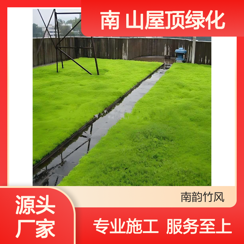 绿化工程施工 南 山屋顶绿化大型绿化施工团队