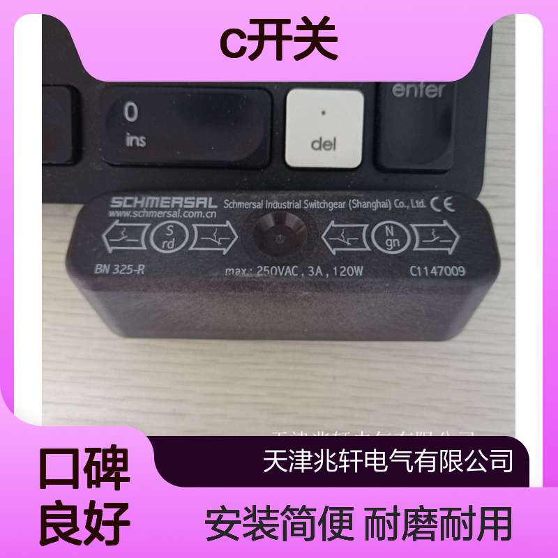 施迈赛安全锁 SRB301X124VAC DC开关 耐磨耐用 安装简便