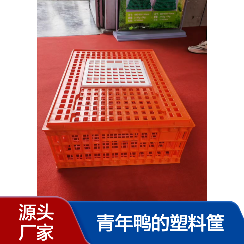 新款成鸡运输笼 装青年鸭的塑料筐 加厚立柱 耐用得利畜牧