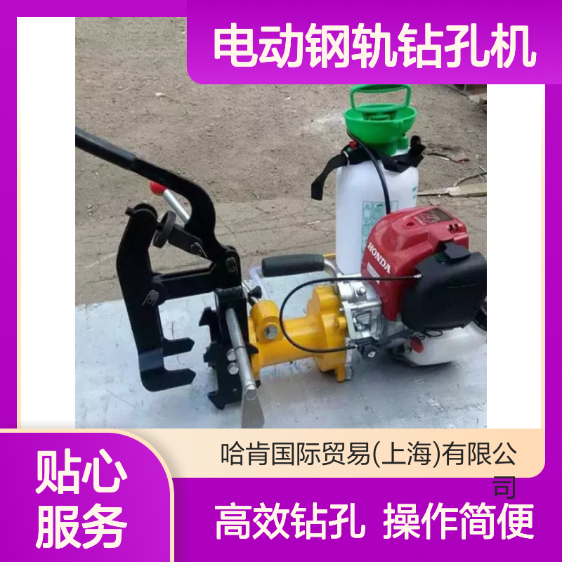 哈肯国际贸易供应 DGZ-31电动钢轨钻孔机手提式