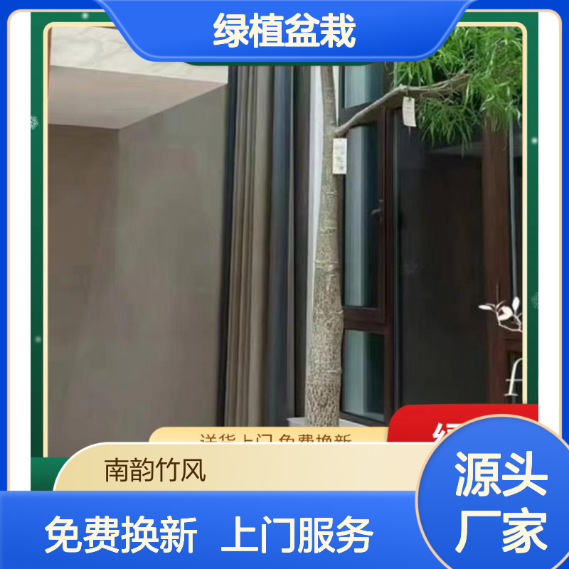 绿植盆栽租摆服务 上门养护 室内植物造景场地布置 健康生长