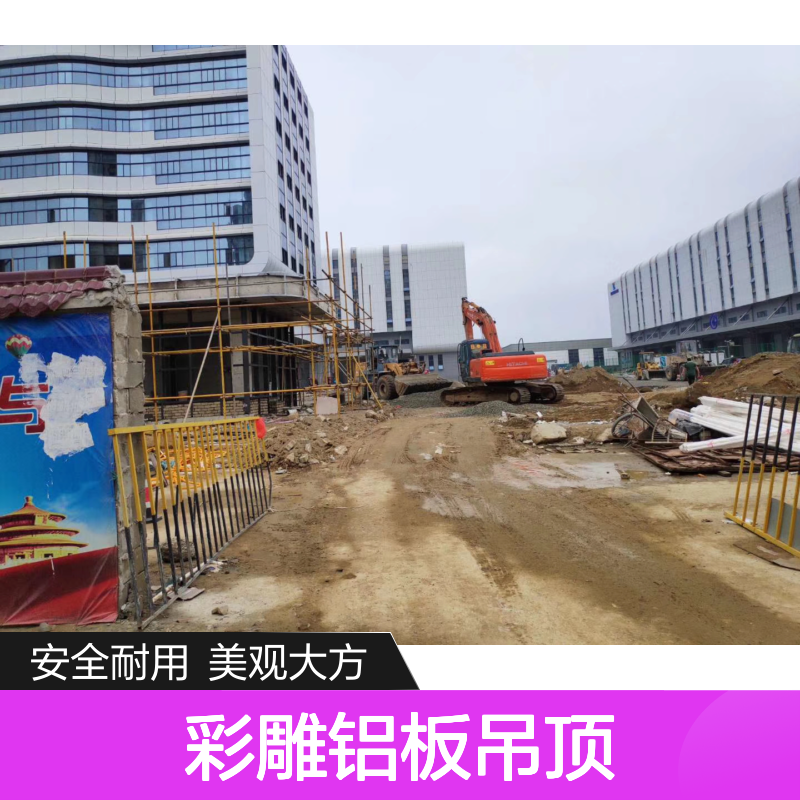 宏铝幕墙仿木材彩雕铝板吊顶 天花吊顶定制款