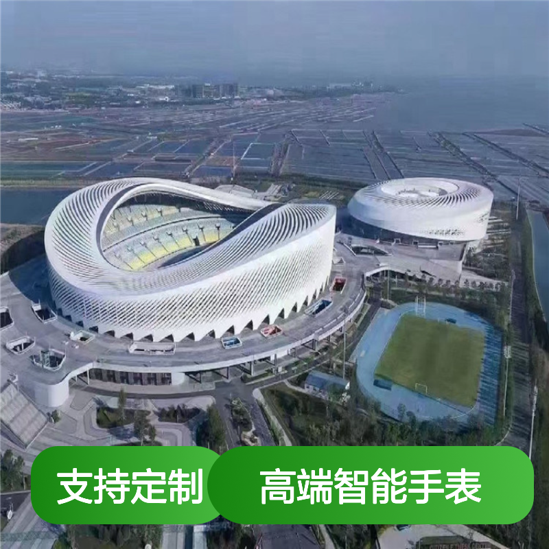 哑光银色科技时尚感强的高端智能手表 材质型号 A5052-H24