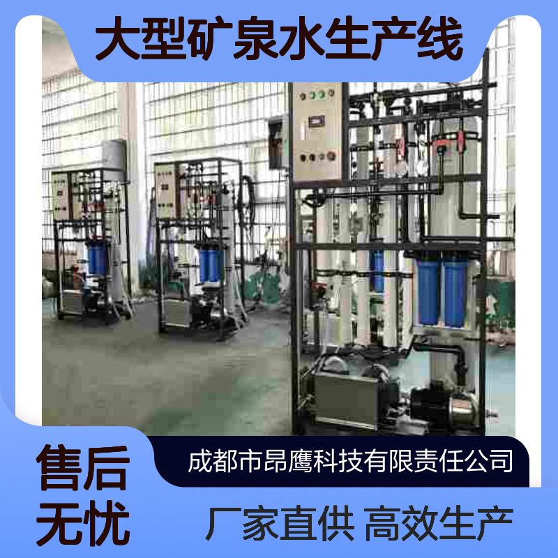 大型矿泉水生产线 每小时2000瓶产量全自动吹灌旋一体 厂家批发