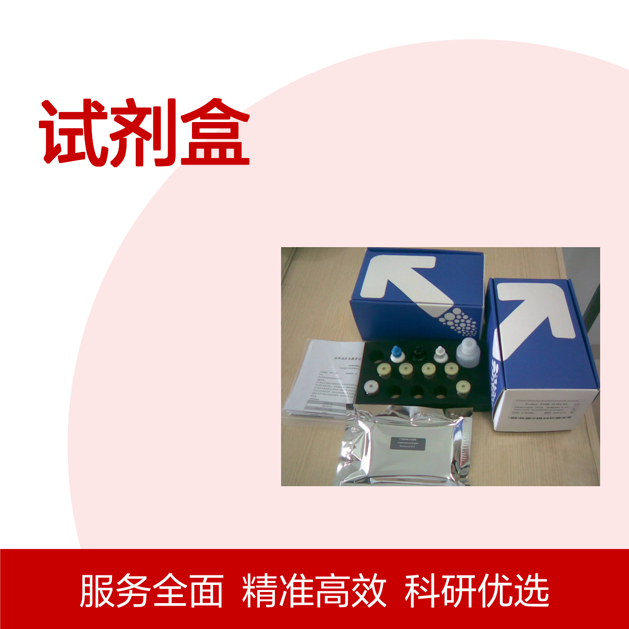人组织因子途径抑制物TFPI ELISA试剂盒 科研专用 精准检测