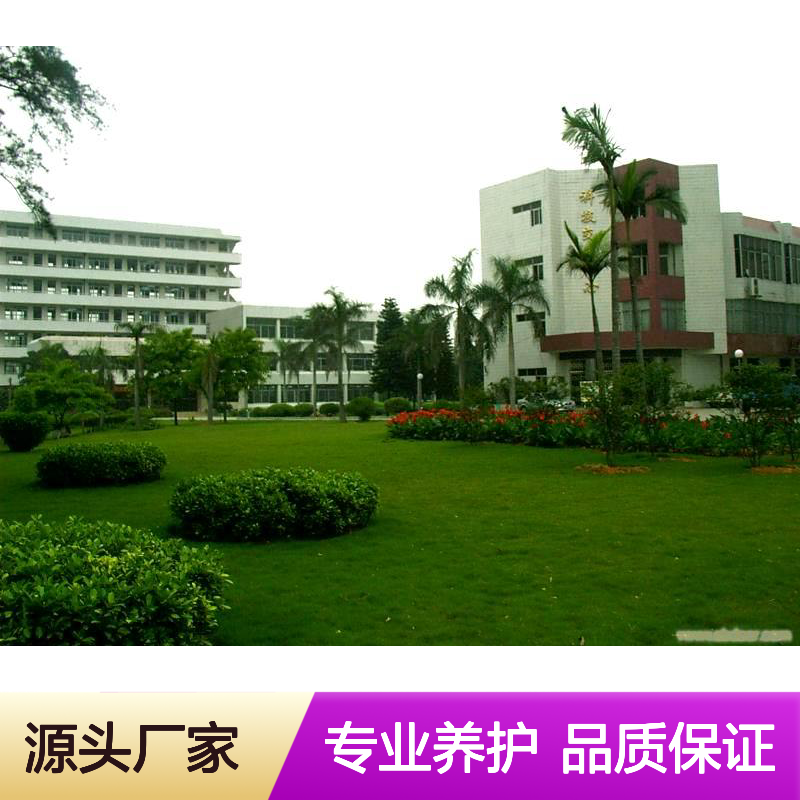园区绿化维护 小区绿化养护规格 现场管理巡场自检 保售后