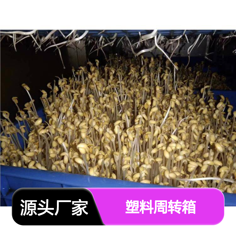 乔丰新款A2塑料周转箱 耐用周转设备 绿色环保