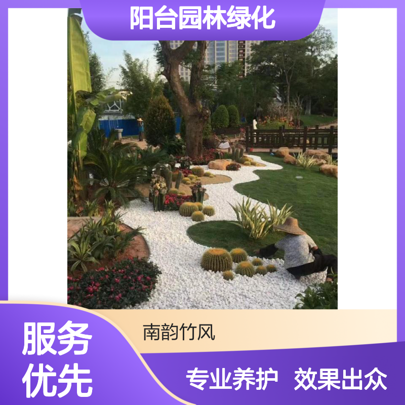 深圳小区绿化养护 阳台园林绿化 上门设计可出图 南韵竹风