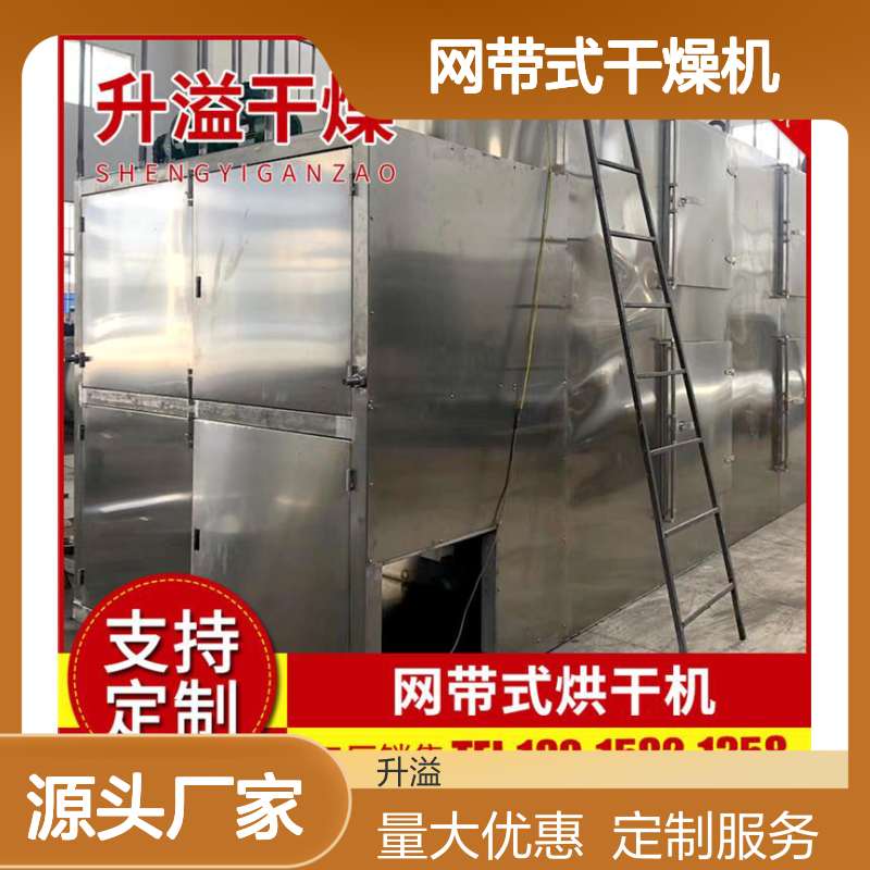 全自动多层网带式干燥机 蔬菜水果适用 定制服务