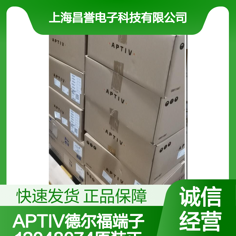 APTIV德尔福端子12048074 原装正品 现货直发 国内代理渠道