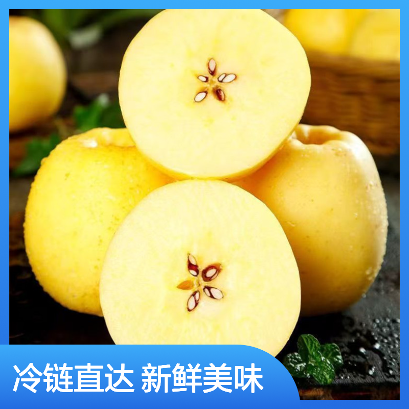 维纳斯黄金苹果冷链配送 城乡双向冷链物流 高效冷藏运输