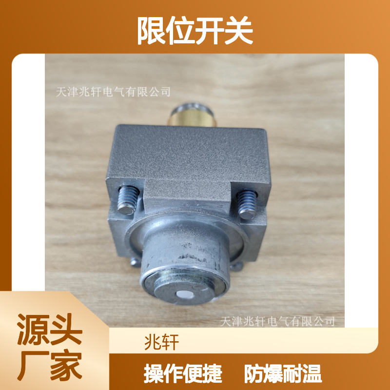特勒美科操作头ZCKE67 限位开关 防爆耐高温 操作简便
