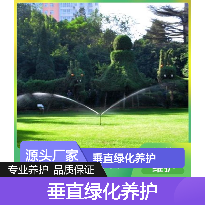 南韵竹风 垂直绿化养护 浇水施肥 专业服务 品质优良