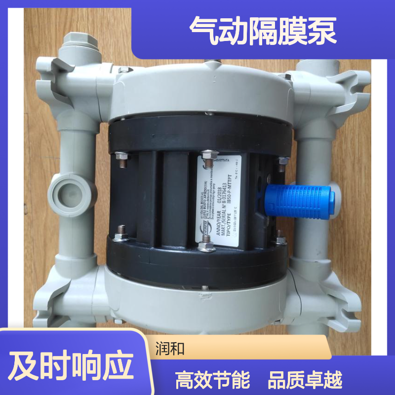 意大利DEBEM气动隔膜泵，气泵，BOXER100系列，润和出售