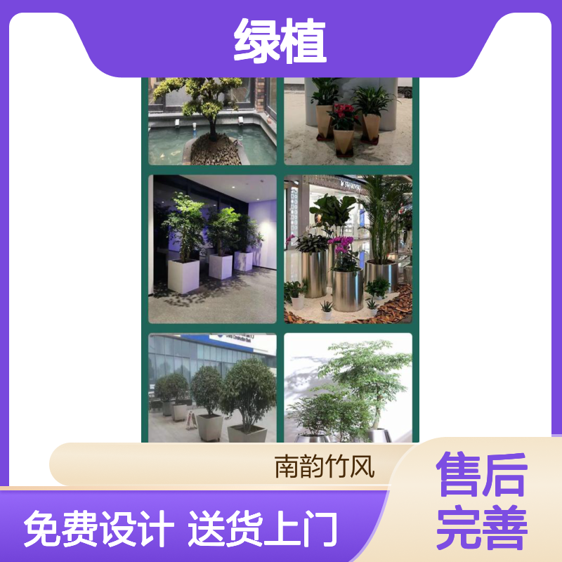 绿植租赁 办公室室内景观租摆 免费设计 支持定制 送货上门