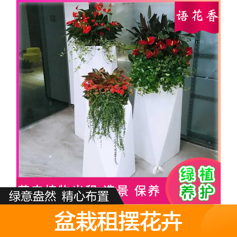 盆栽租摆花卉 室内绿植租赁 客厅书房卧室点缀 时尚植物组合