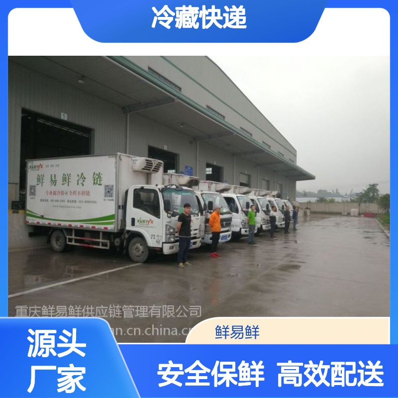 冷藏快递，分检包装，冷冻仓储，生鲜电商,鲜易鲜