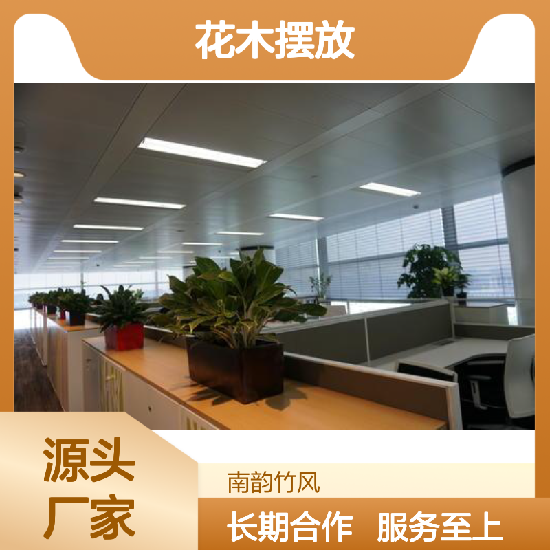 南韵竹风花木摆放 租赁服务全包含 品种多样 成活率高