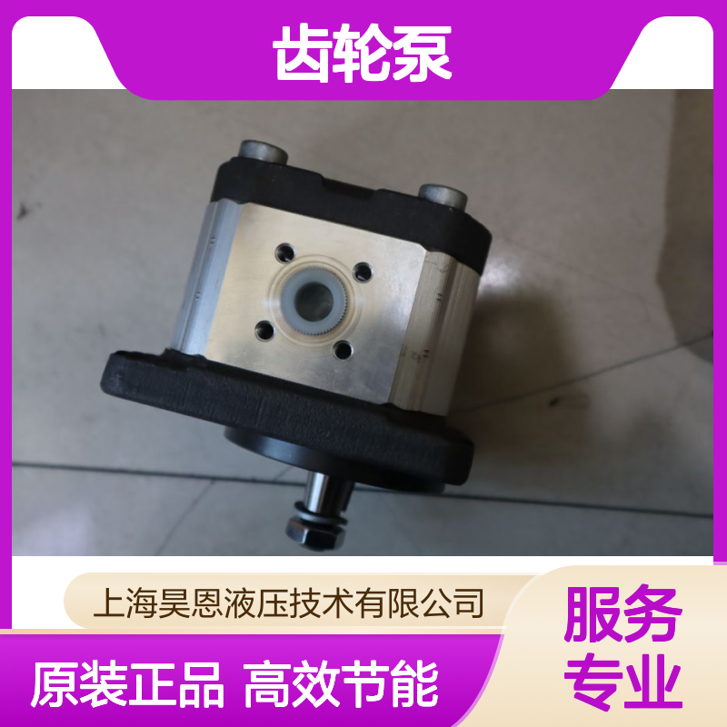 力士乐Rexroth齿轮泵MNR：0510425307 型号 AZPF-11-008LCB20MB原装