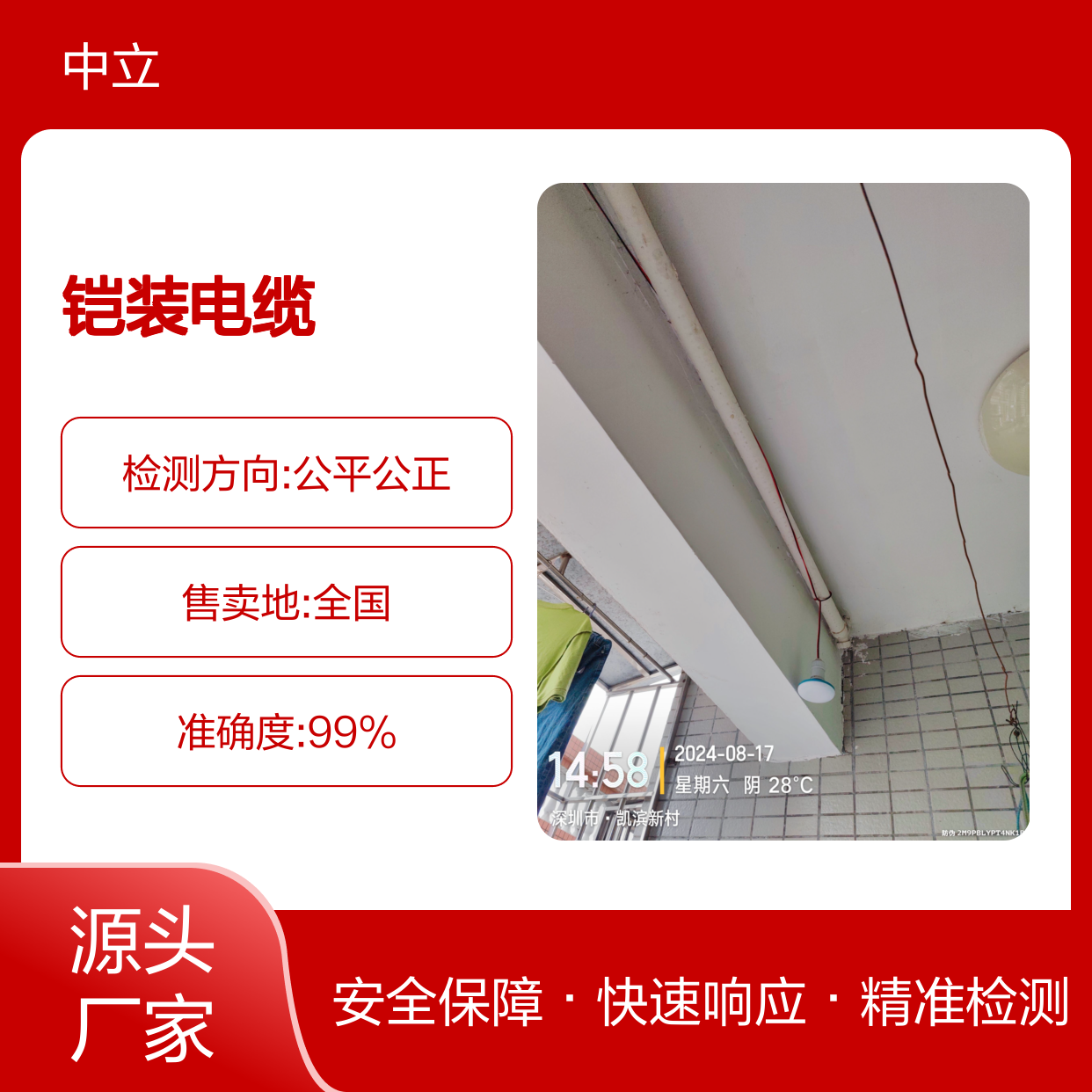 铠装电缆绝缘层老化诊断 电气安全检测服务 预防潜在风险