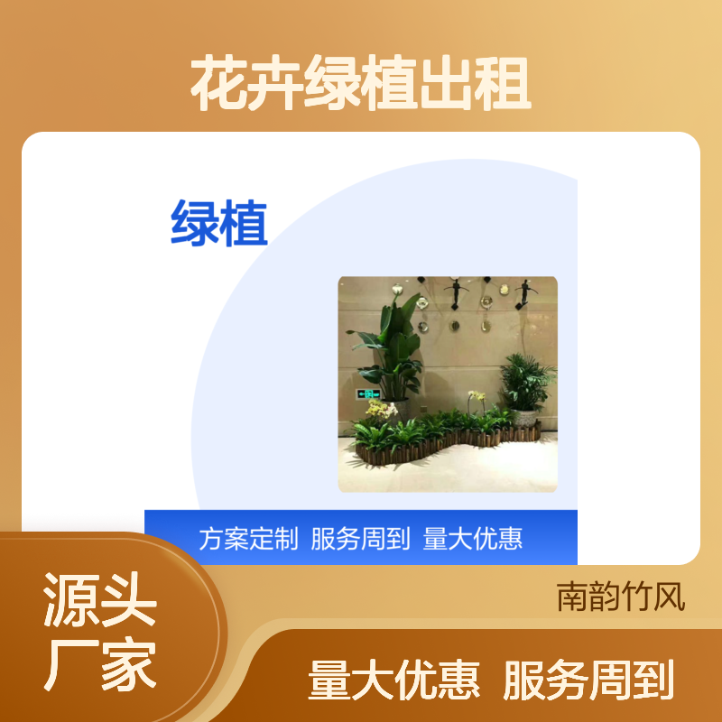 绿植养护龙 华新区花卉绿植出租 整体养护 500元起租