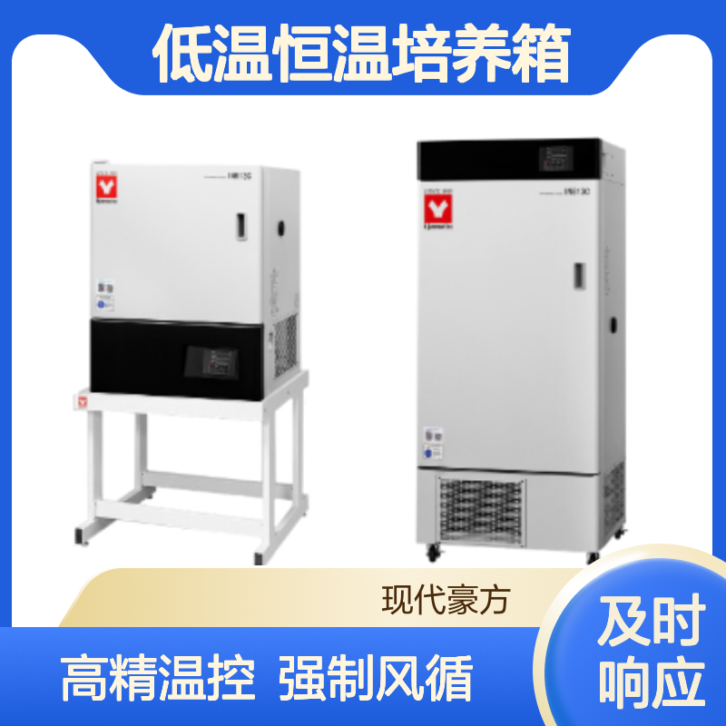 IN613C低温恒温培养箱yamato高精度温控强制风循