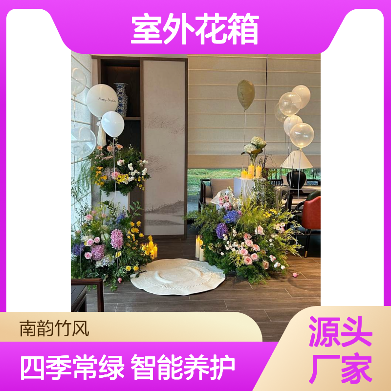 室外花箱种植常用花卉 花池绿植造景 智能养护 南韵竹风
