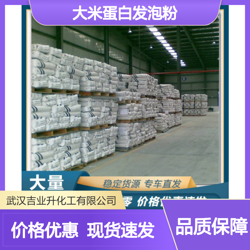 发泡蛋白粉 大米蛋白发泡粉 白色粉末 营养强化剂