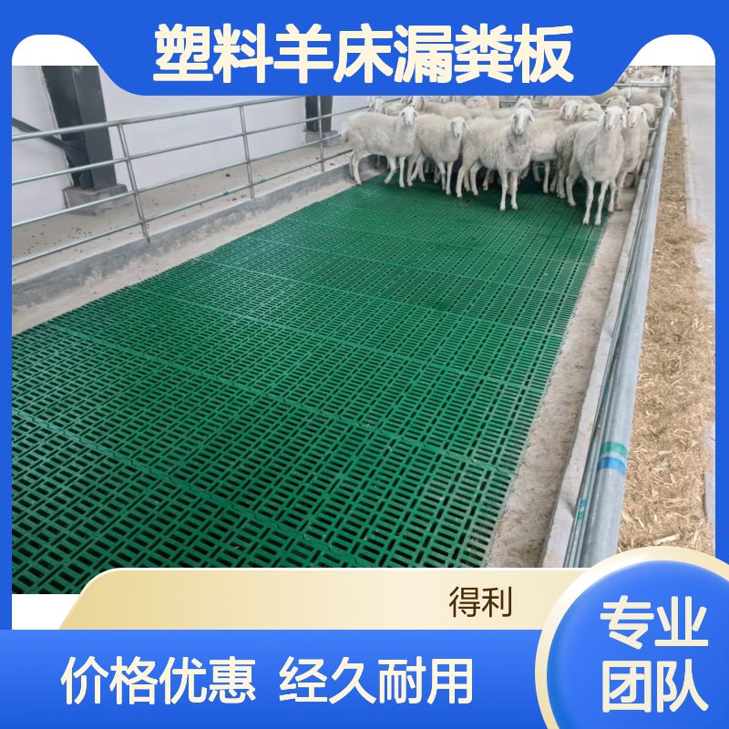 新款的塑料羊床漏粪板 1米长 宽0.5米 羊舍铺建现场