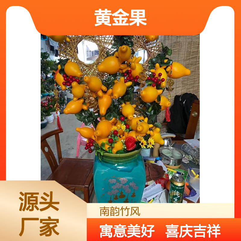 深 圳开心果盆栽 黄金果五代同堂 春节喜庆植物盆栽 实体花店 南韵竹风