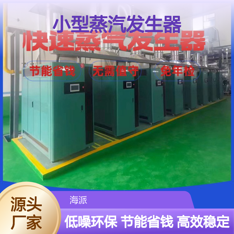全自动天然气1吨小型蒸汽发生器纺织印染工业燃气锅炉灭菌消