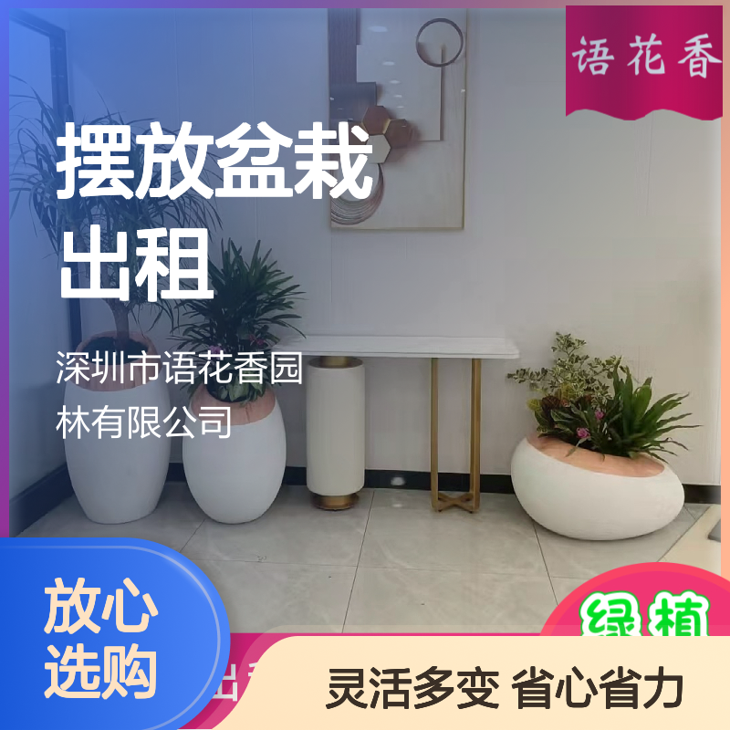 绿植盆栽组合租赁 全程养护 适合大小型绿化工程设计与施工