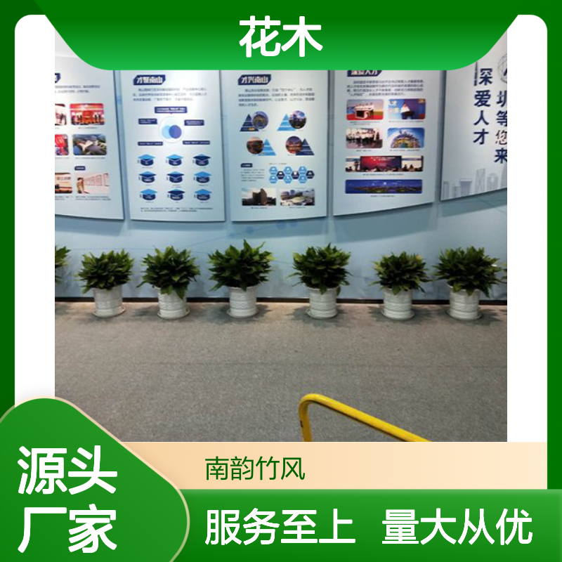 南韵竹风 花木租赁服务 承接绿化工程 品种多样