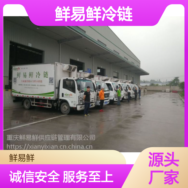 鲜易鲜冷链 广州到重庆冷冻物流 冷藏配送 冷链物流信息化