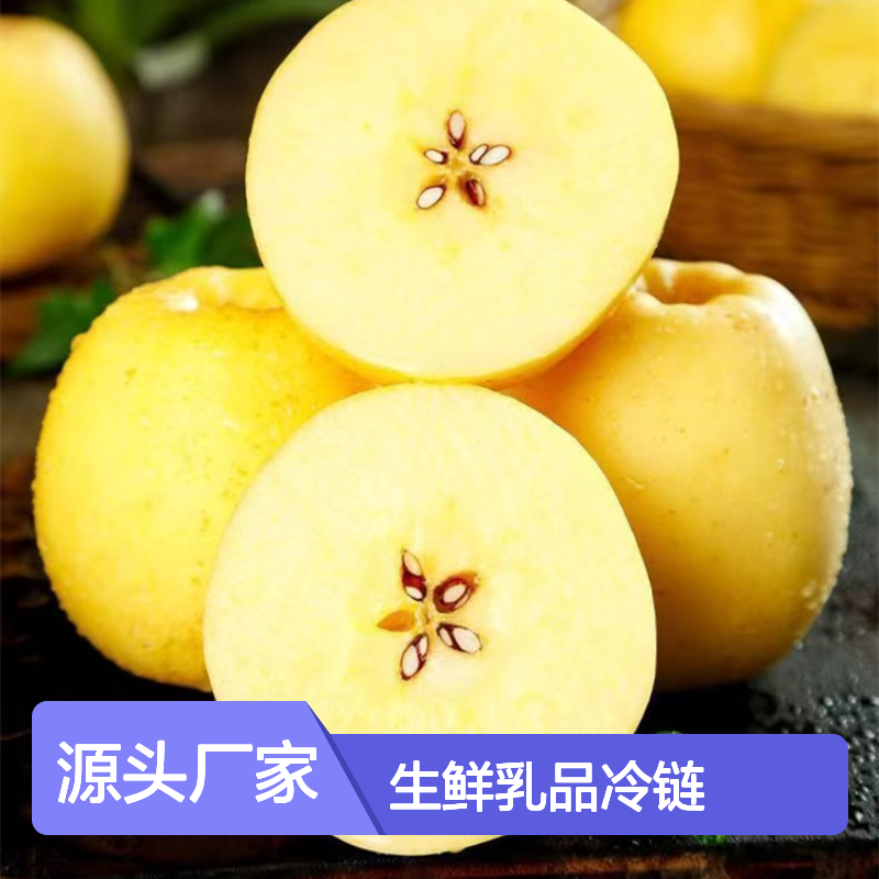 维纳斯黄金苹果冷藏配送 广州至海口三亚冷冻运输 生鲜乳品冷链