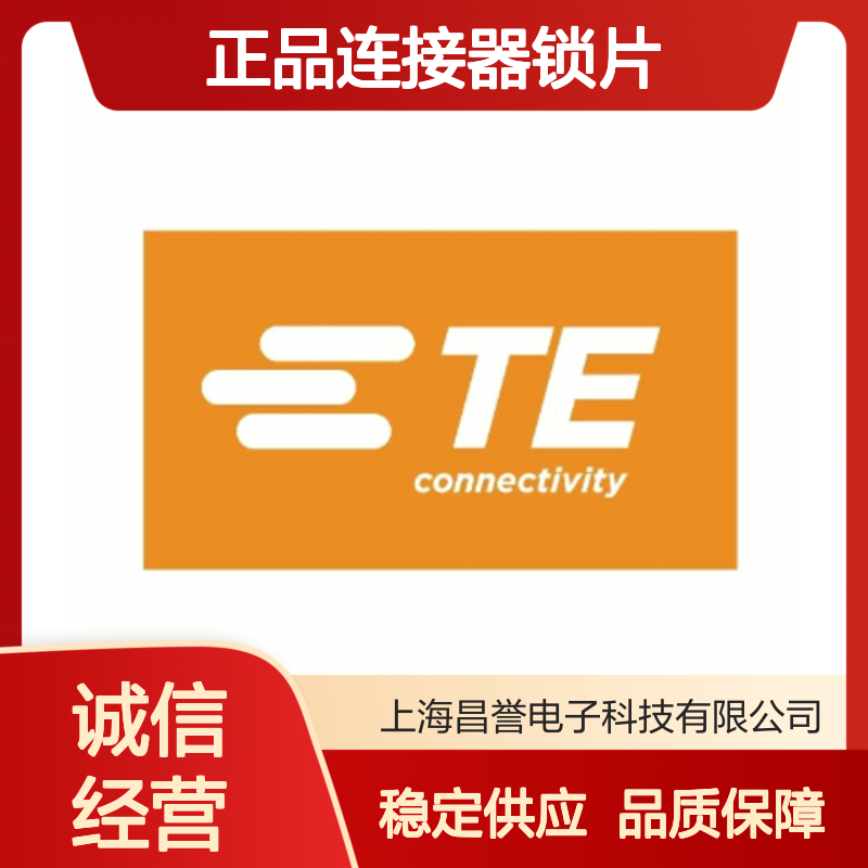 WM-2P TE Connectivity原装正品连接器锁片 工业级耐用配件