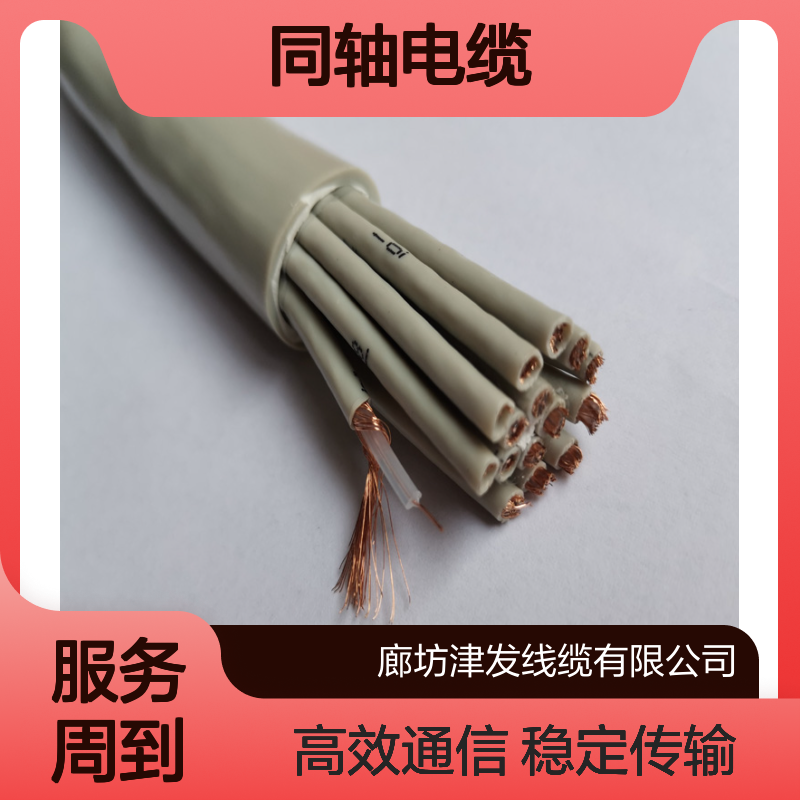 多芯SYV同轴电缆75-2-1射频中继通信两兆线2M