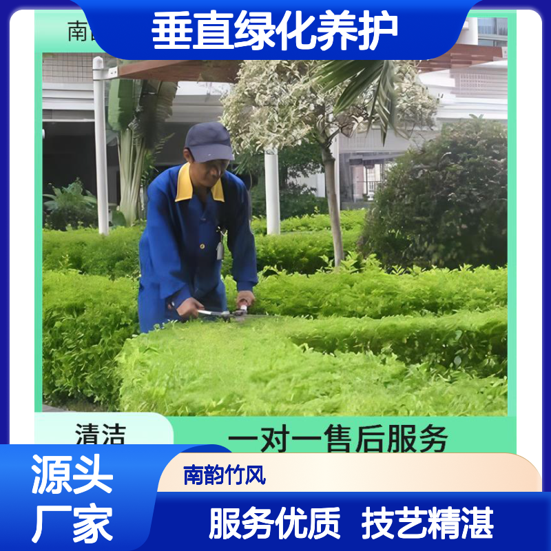 南韵竹风 垂直绿化养护 花园改造 病虫害防治 成活率高