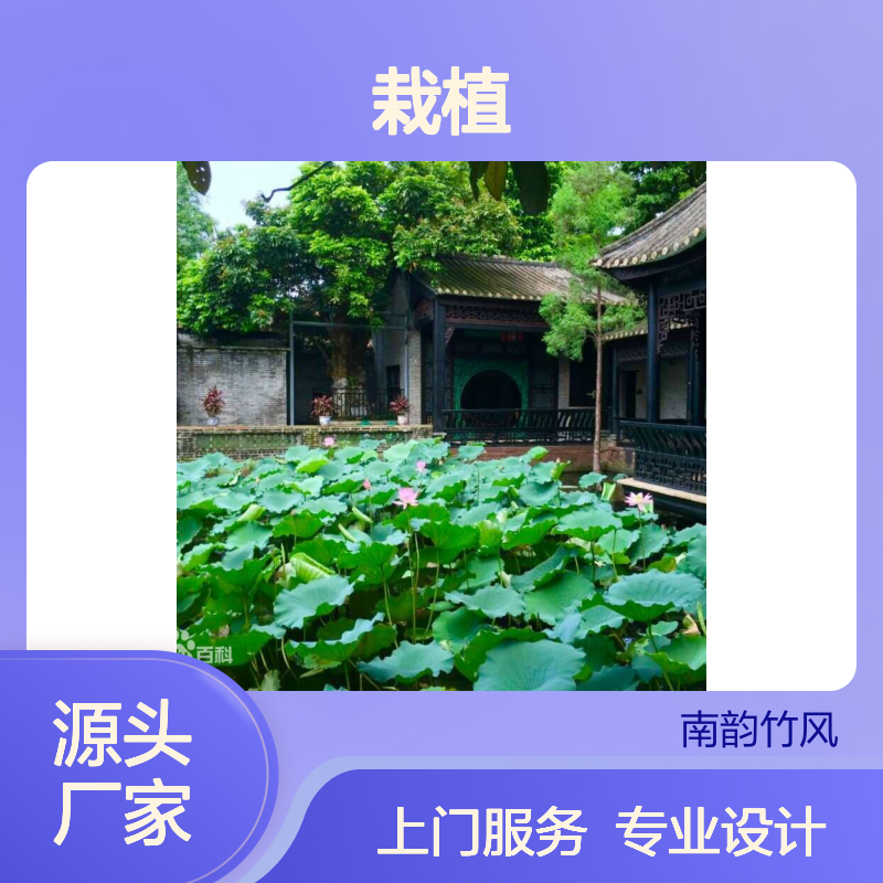 别墅绿化 私家庭院绿化景观设计施工 自有栽植人员 上门服务