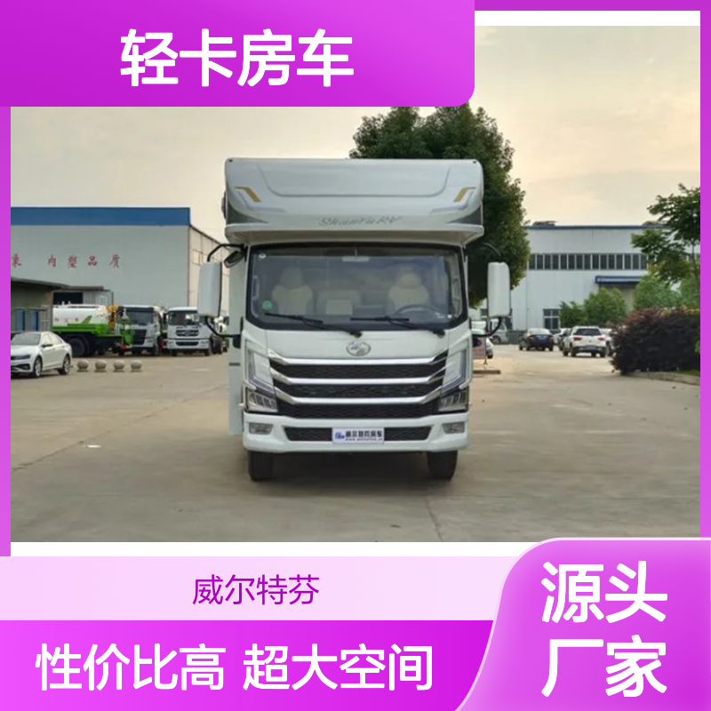舜宇跃进H500轻卡房车 4.2米超大空间性价比之选