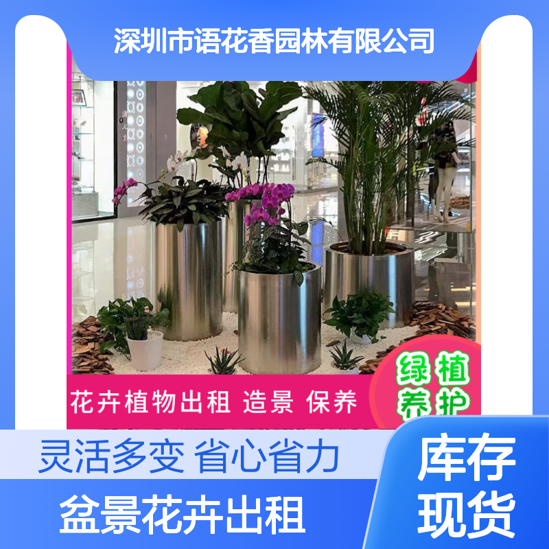 盆景花卉出租服务 长期短期灵活租赁 绿植盆栽组合设计美观