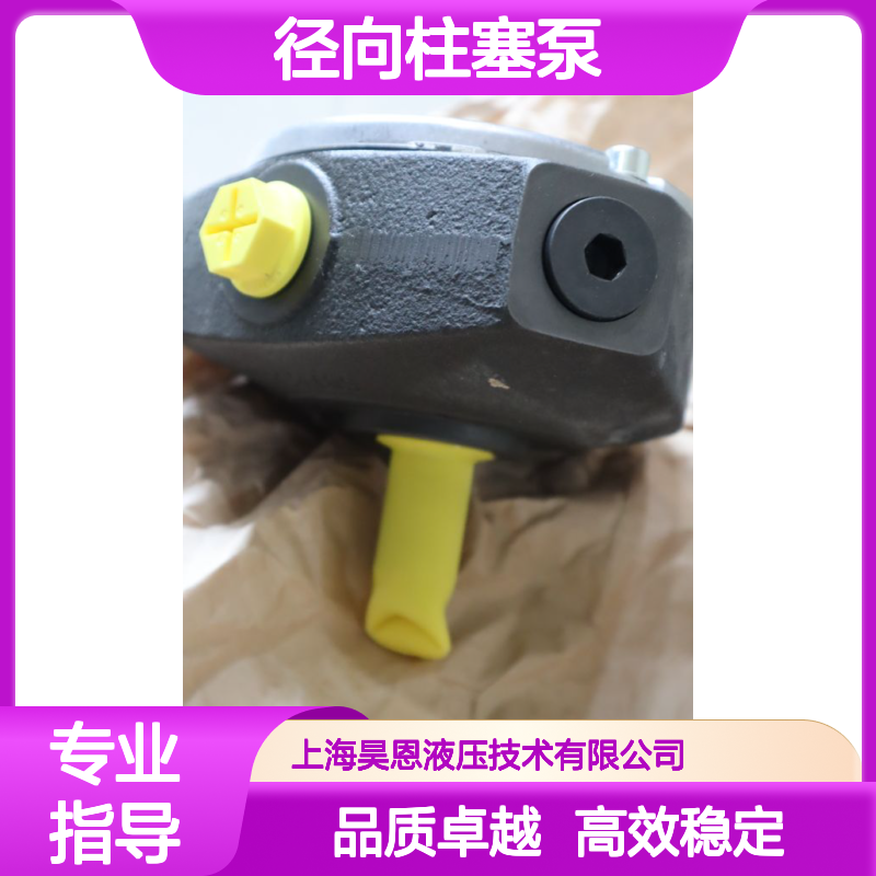 PR4-3X/2.50-700RA01M01 R901088545 德国力士乐REXROTH径向柱塞泵