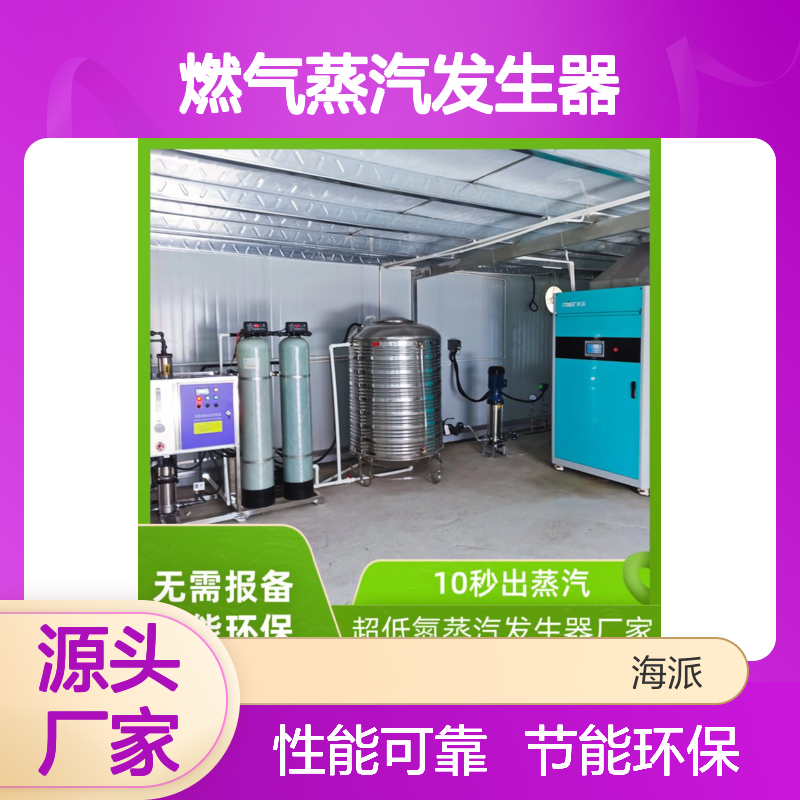 化工制药造纺织食品纸印染橡胶塑料金属加工超低氮燃气蒸汽发生器