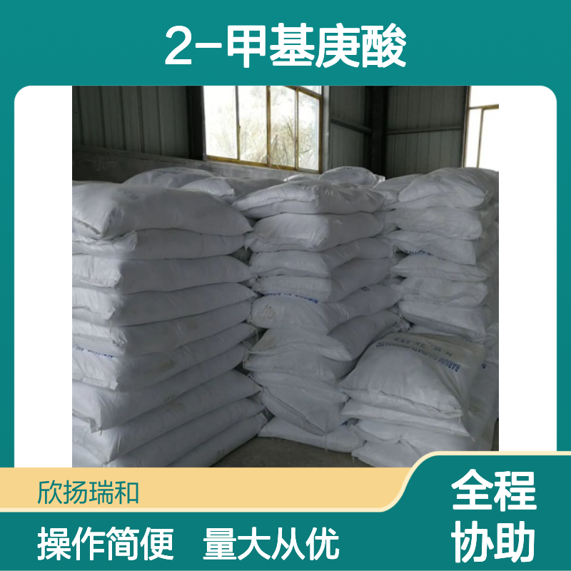 2-甲基庚酸 CAS:1188-02-9 高纯度合成材料中间体 工业级应用