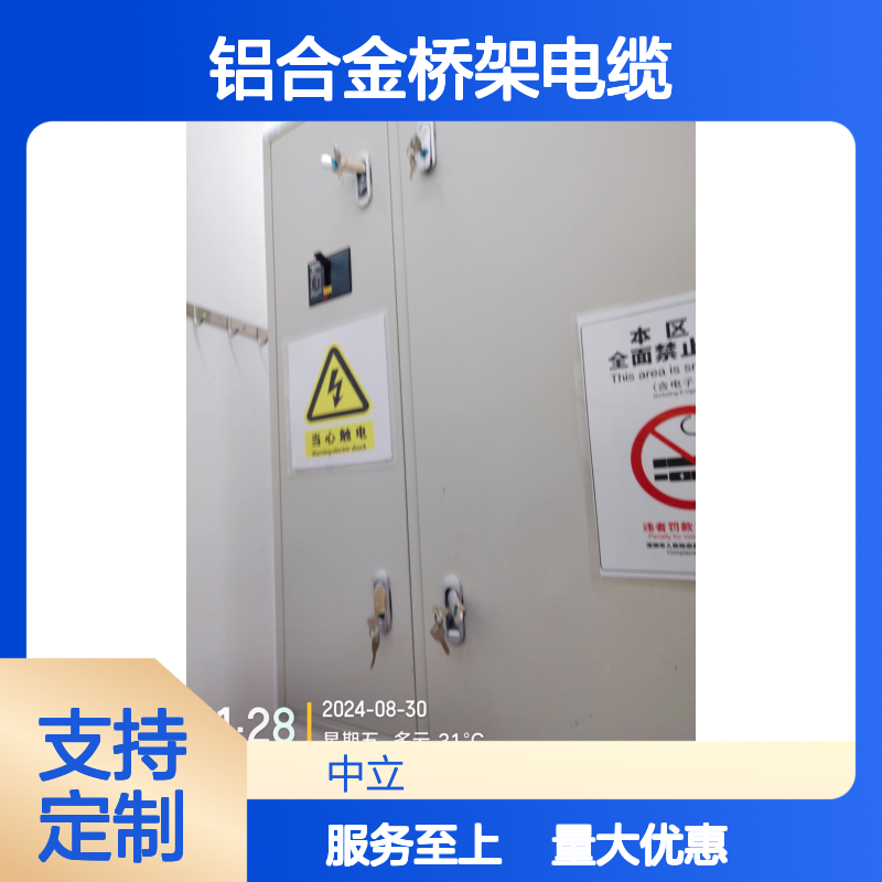 电气安全检测服务 铝合金桥架电缆载流量评估 预防电气火灾隐患