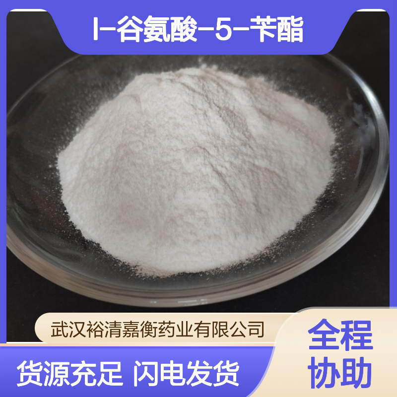 L-谷氨酸-5-苄酯CAS:1676-73-9白色粉末98,医药中间体
