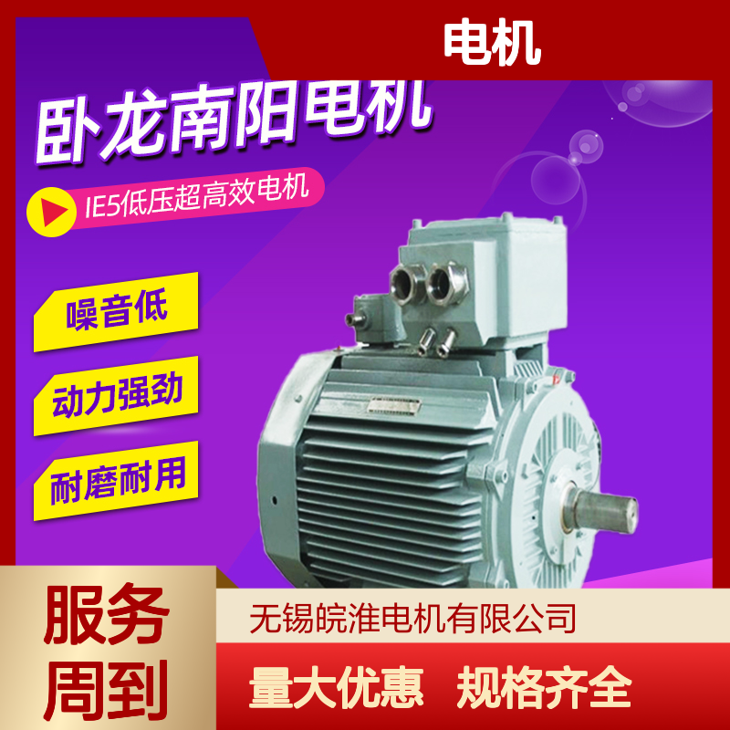 卧龙电机全铜线圈异步电动机 噪音低动力强劲耐磨耐用