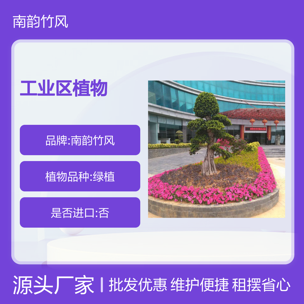 绿植养护 工业区植物租摆维护 批发服务 气派典雅 省心省力