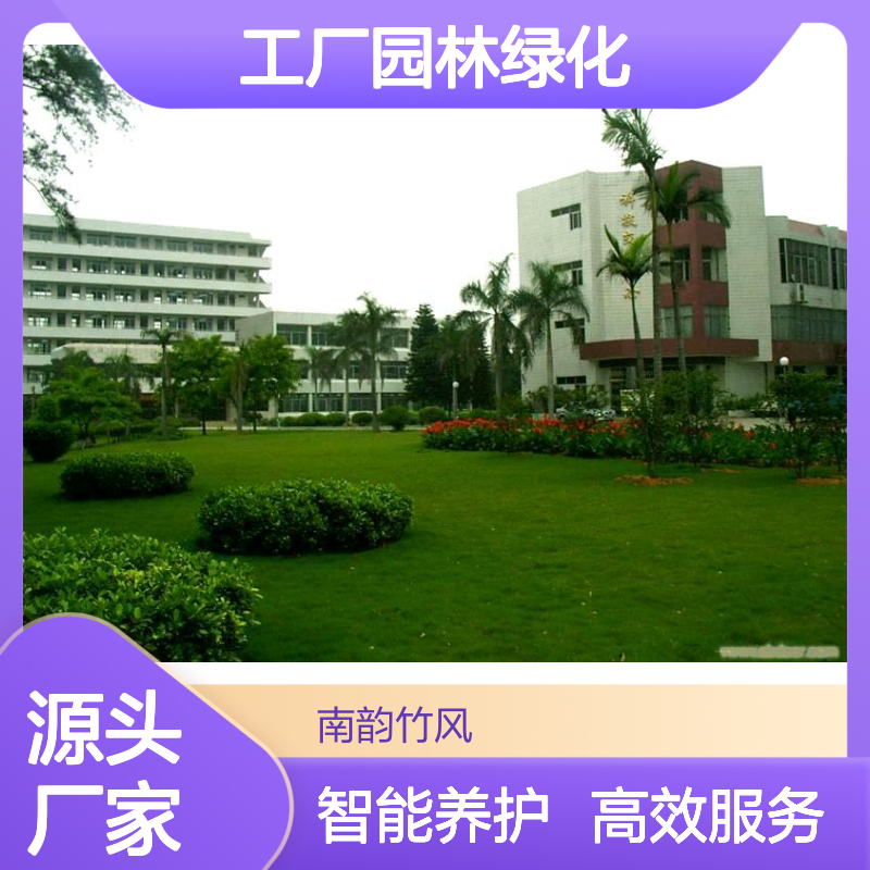 园区绿化维护 工厂园林绿化养护标准 绿化服务一级资质 南韵竹风